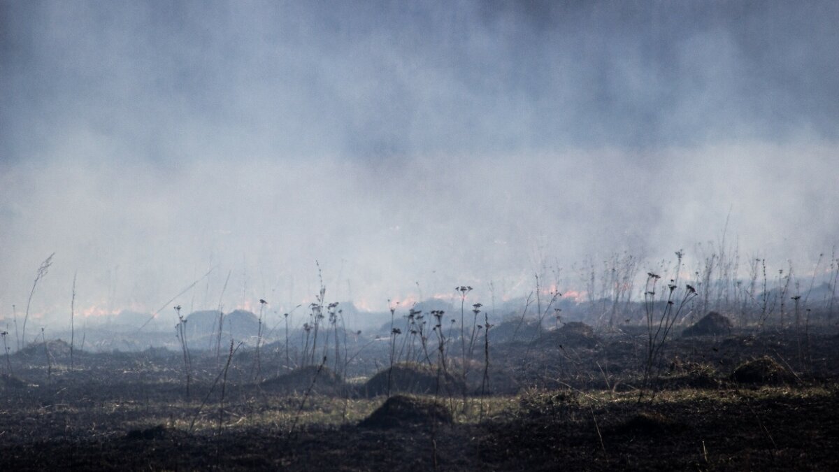 ИА SM-News Тюмень📷
