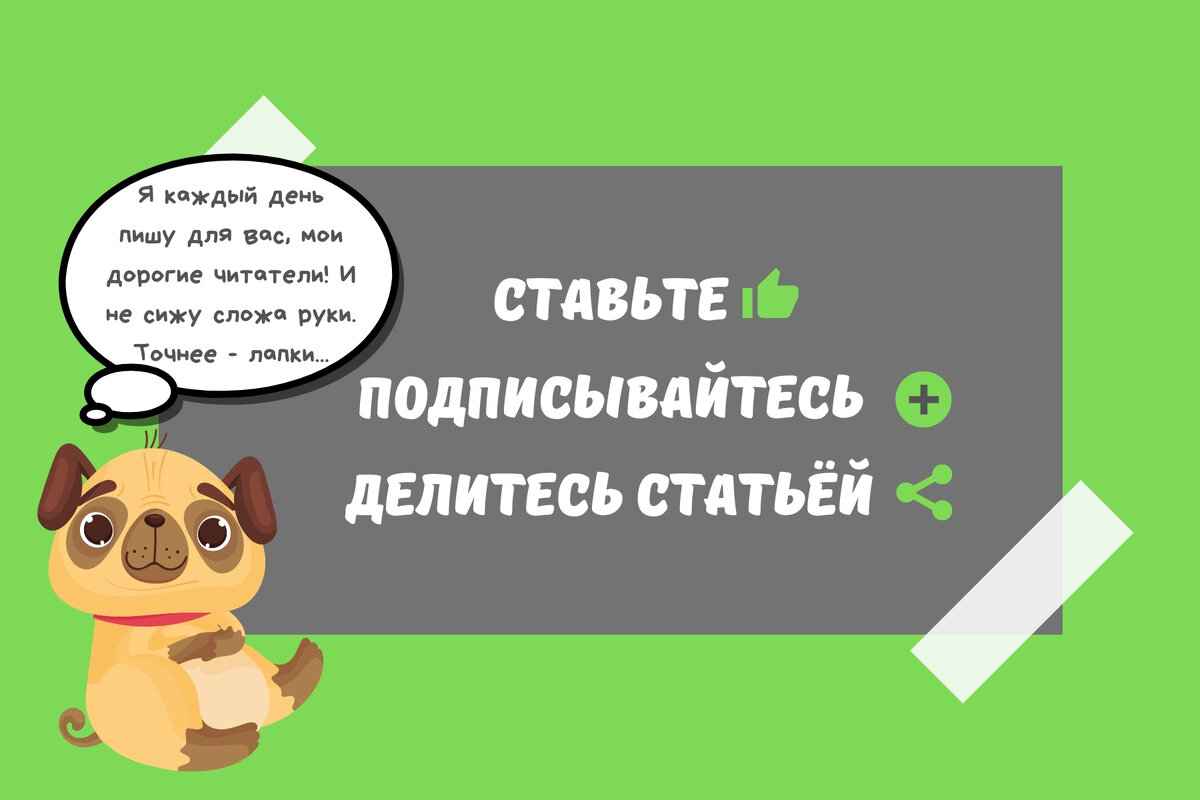 Почему не стоит заводить друзей среди коллег: 5 аргументов | По чуть-чуть о  разном | Дзен