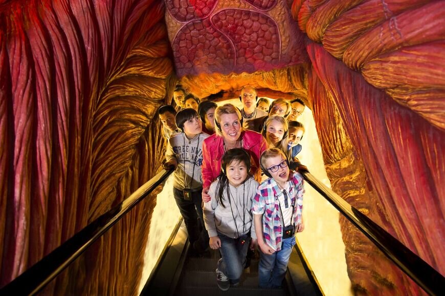 Вход в музей человеческого тела/ © corpusexperience.nl