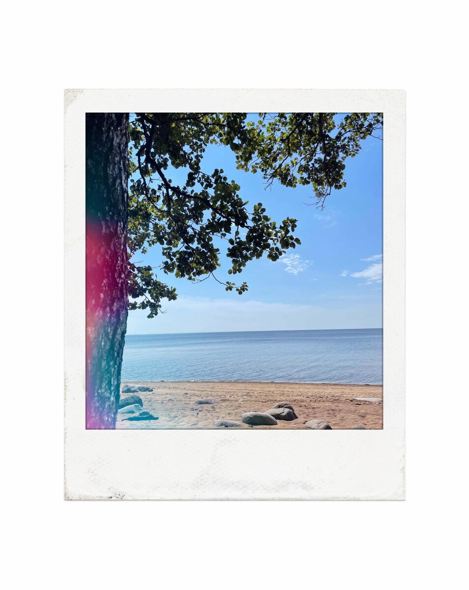    Татьяна Зеленко