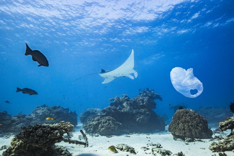 Фото: iStock