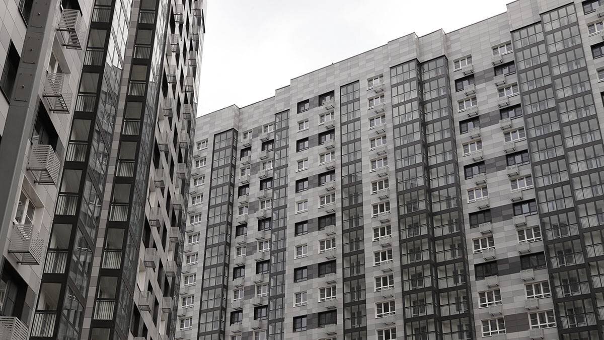    Фото: Анатолий Цымбалюк / Вечерняя Москва