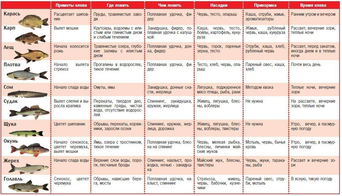 Какую рыбу ловят. Лунный рыбацкий календарь на 2022 год. Таблица рыболова 2021. Таблица клева рыбы по месяцам. Таблица клева рыбы по месяцам на 2022 год.