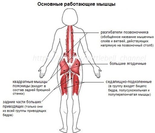 Эпоха большой попы: Почему сегодня все её любят — Wonderzine