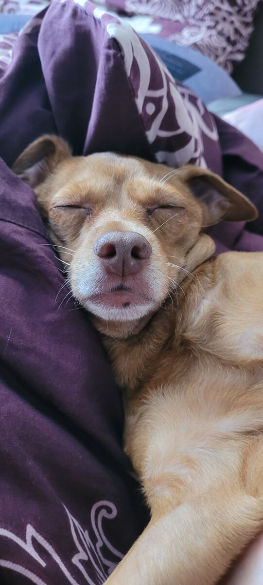 Начинаю засыпать . Стадия дремота.