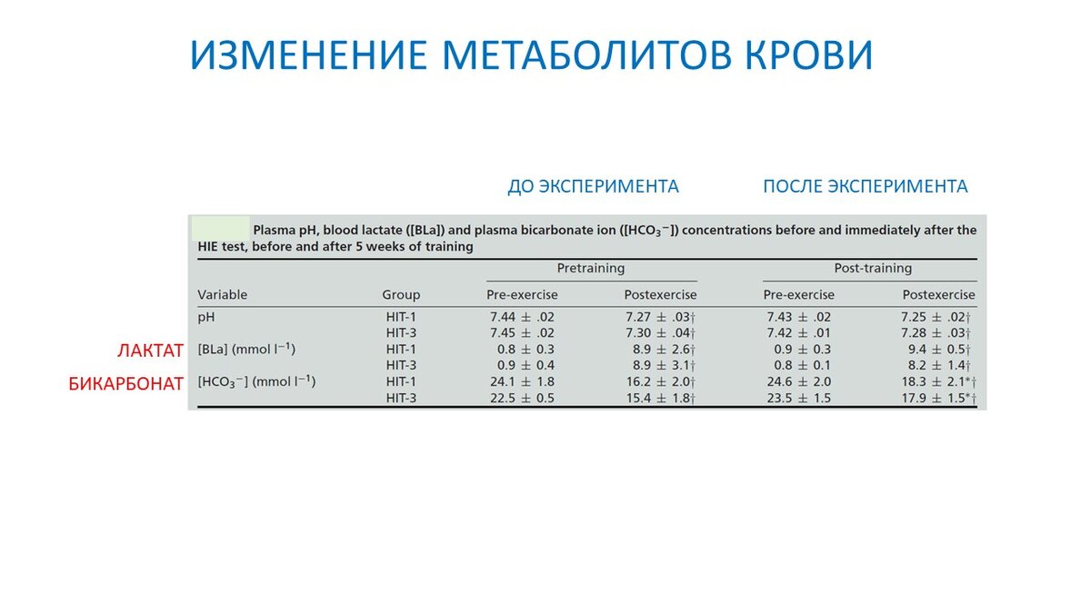 Сколько отдыхать между интервалами? Научный эксперимент | Василий Волков |  Дзен