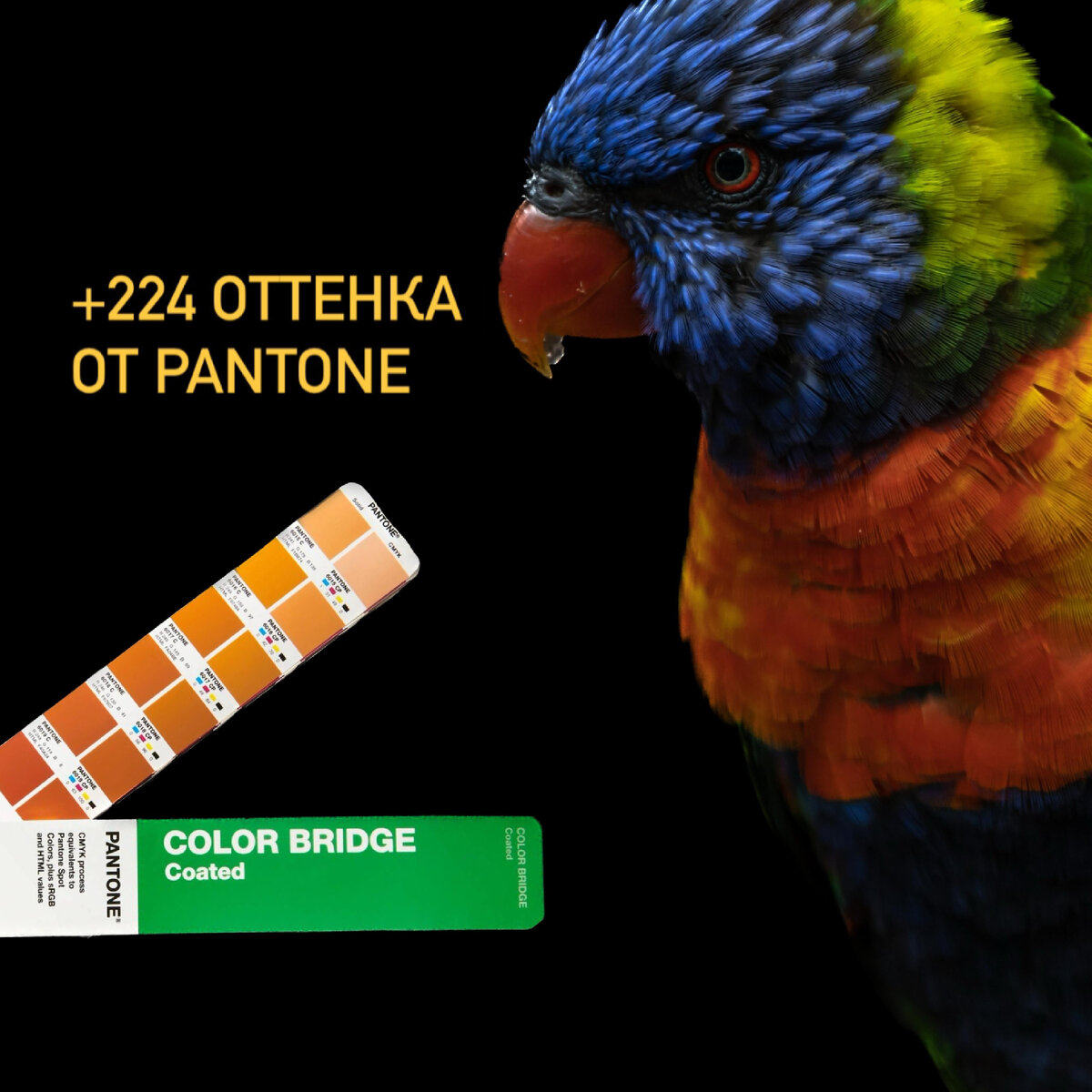 Pantone Color Bridge Guide 