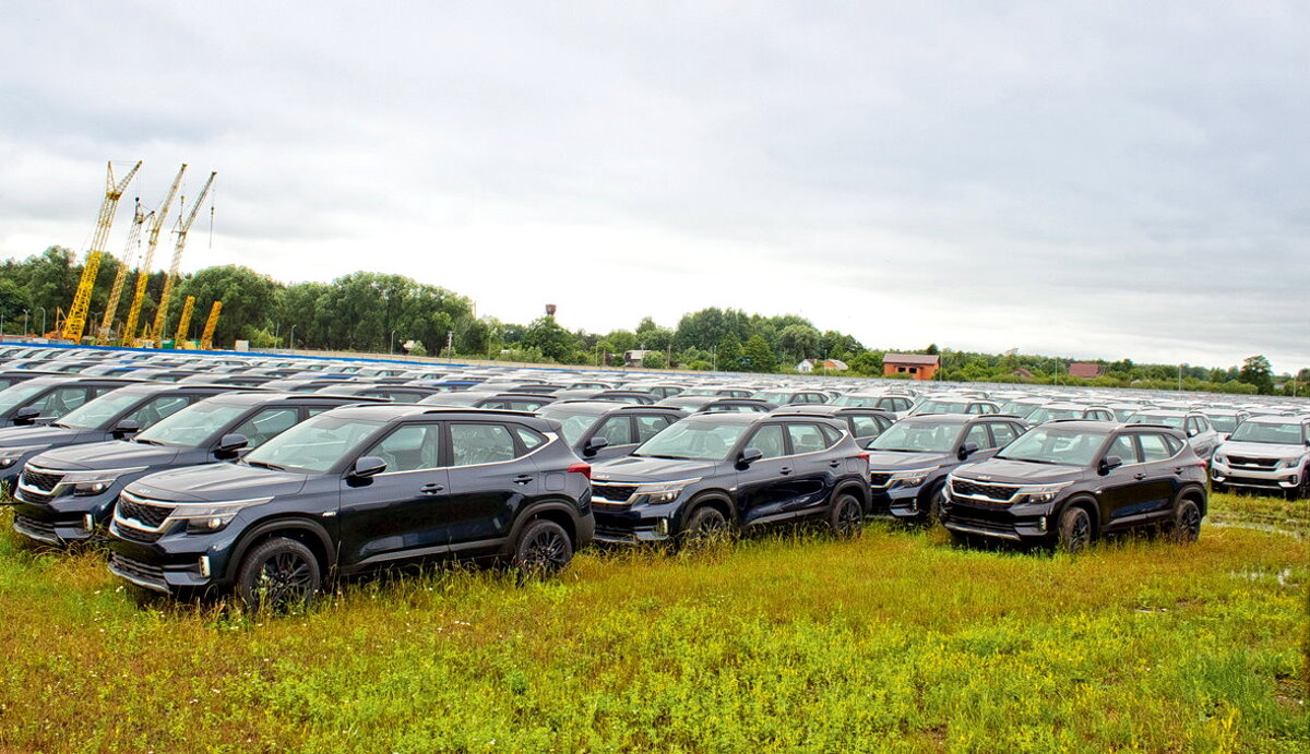 В Калининграде нашли стоянку с сотнями некомплектных автомобилей Киа.  Откуда они взялись? | WROOM | Дзен