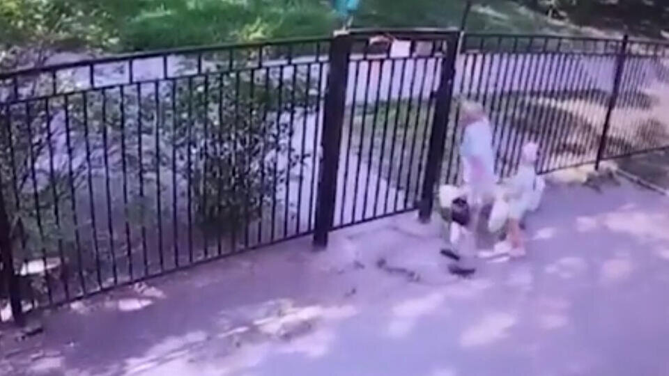 Фото: © Скриншот видео