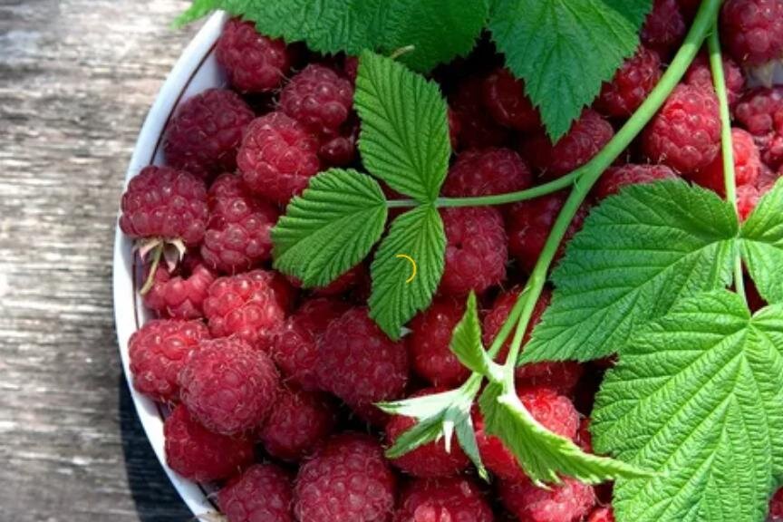 Картинки Яндекс