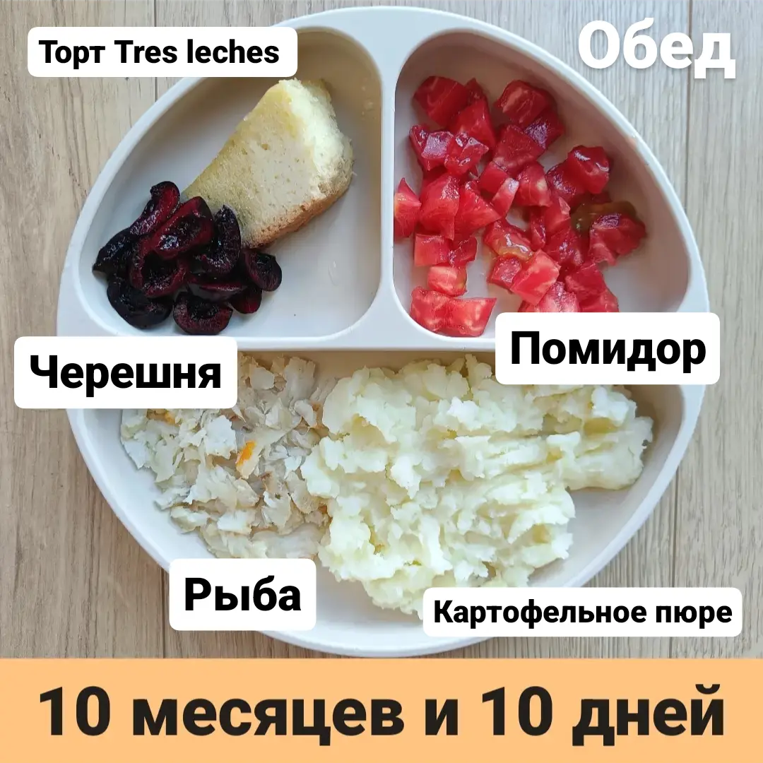 Пример тарелки в 10 месяцев 