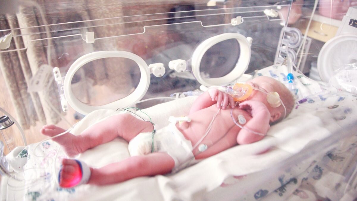    Иллюстративное фото: Unsplash Август Макаров