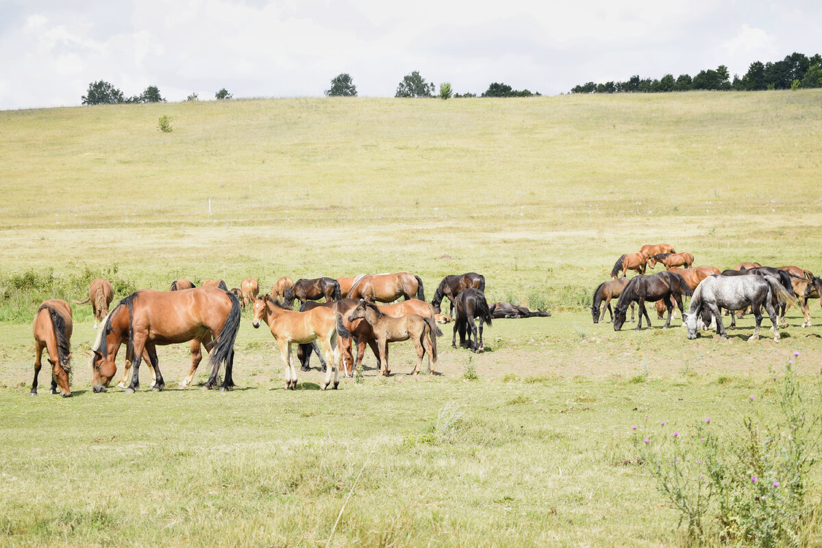 / Фото Регины Фатхутдиновой.