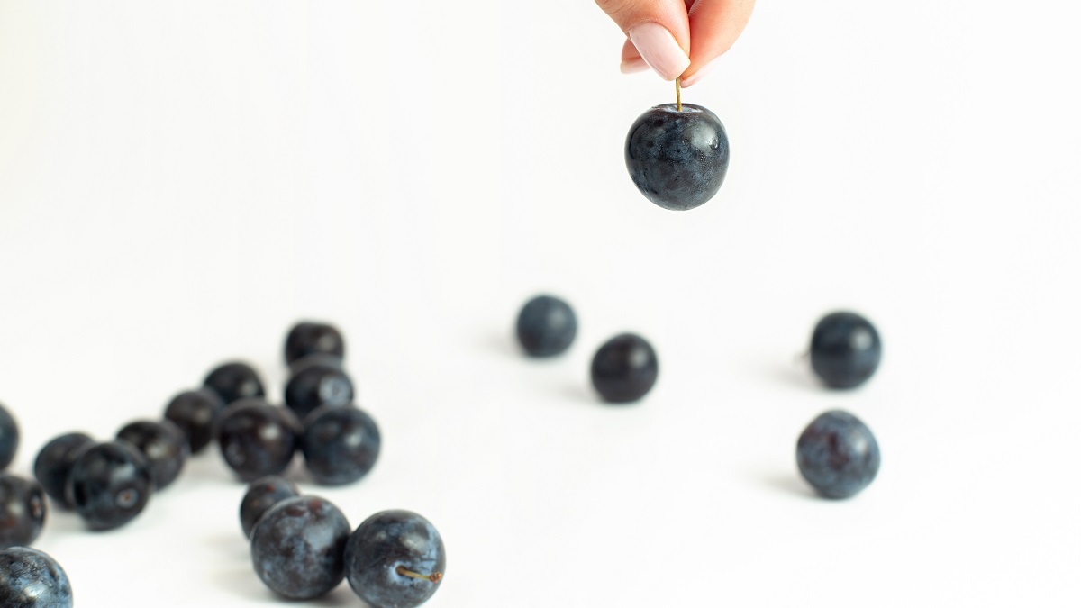    Черничный день