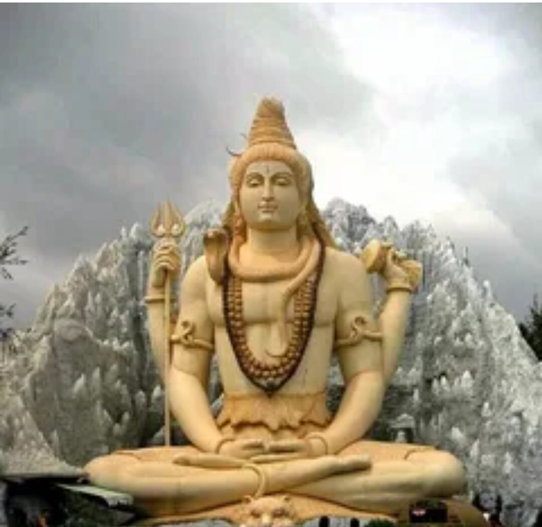 Фото взято из открытого источника Яндекс. 