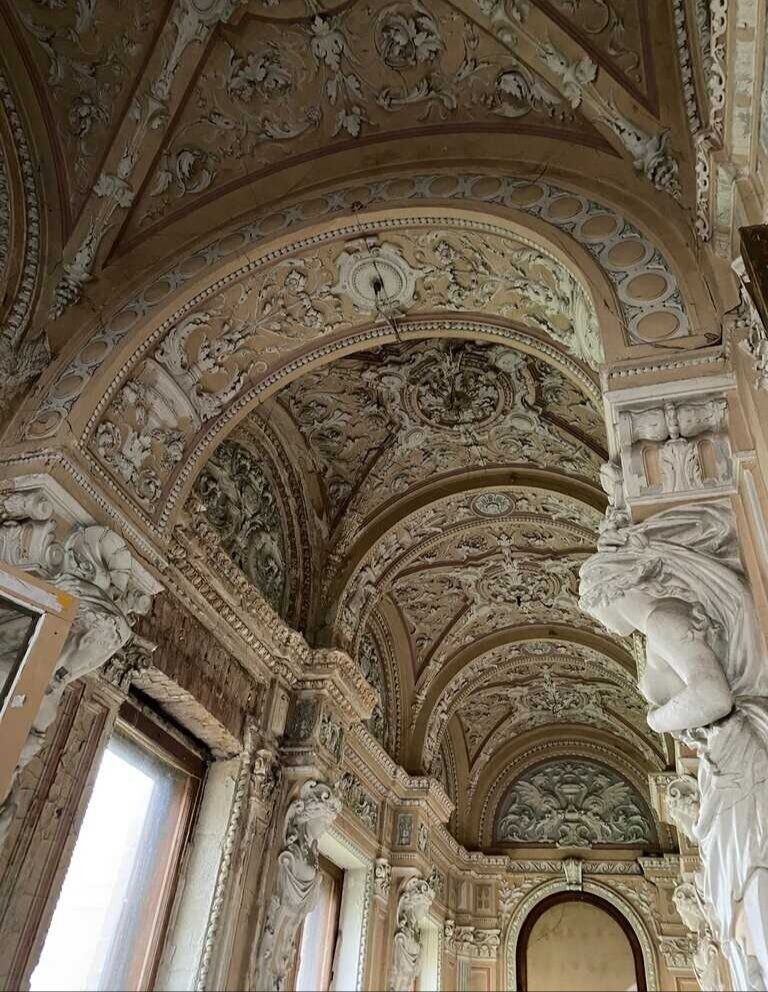 В особняке Брусницыных. Фото из интернета 