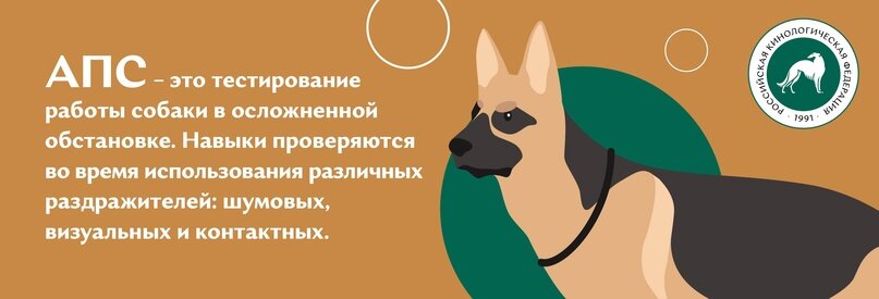 Что такое АПС (аттестация прикладных собак)?