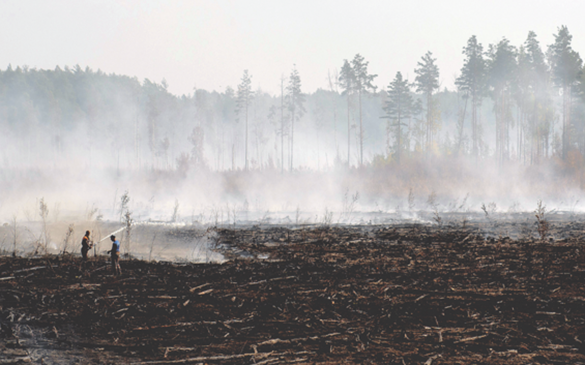 торфяные болота сергиев посад. пожар болото. подземный торфяной лесной пожар. лесной пожар от самовозгорания торфа. пожар болото.