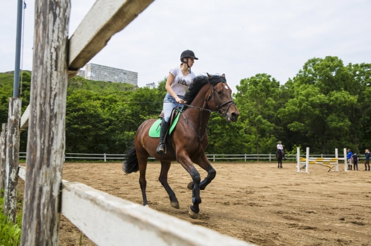   Всадница из Ноябрьска выиграла медали на всероссийских соревнованиях