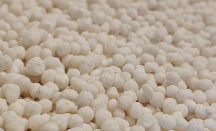    Президент России Владимир Путин поздравил РАПУ с 15-летием