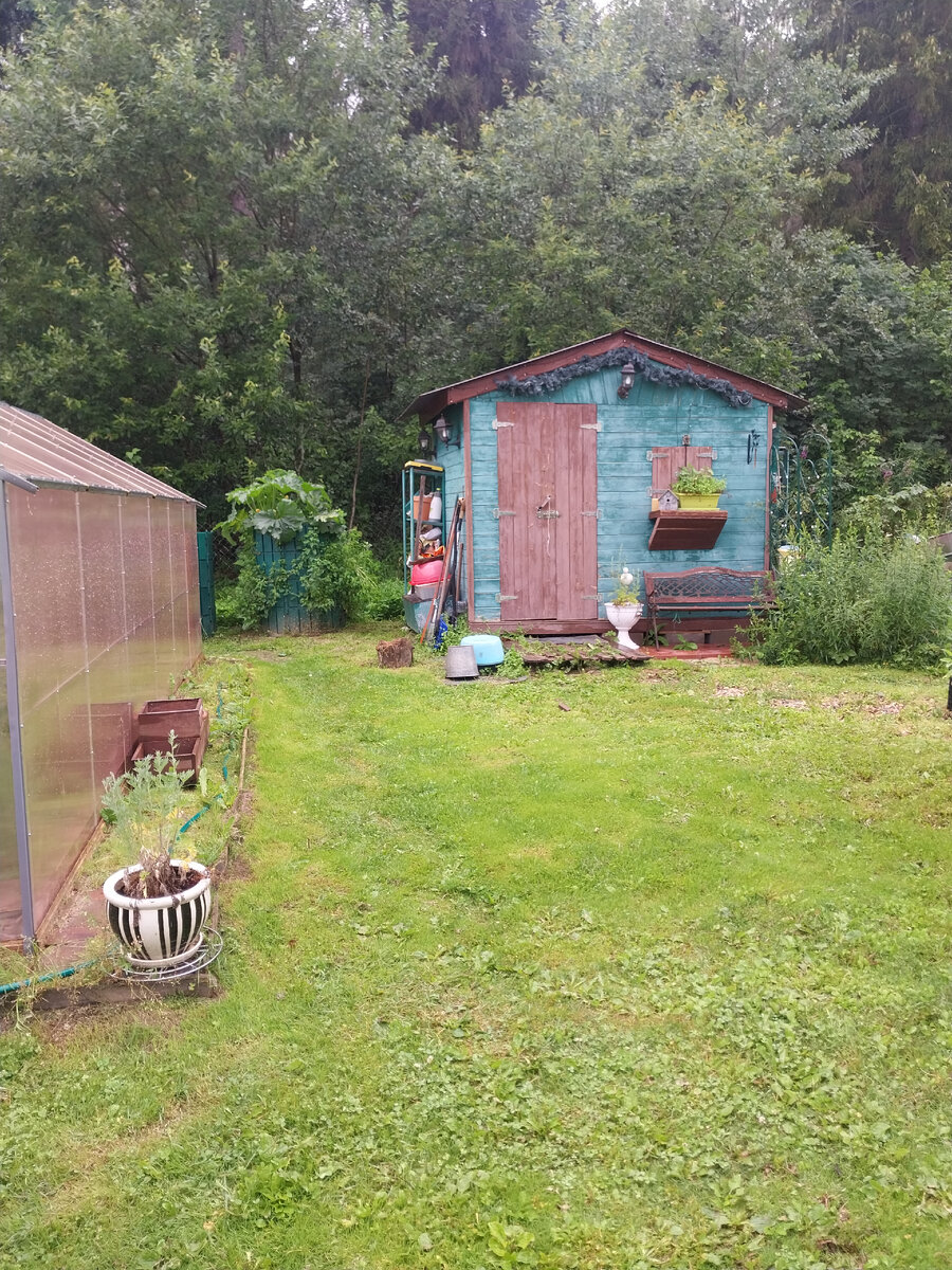 Мои огородные 2 сотки