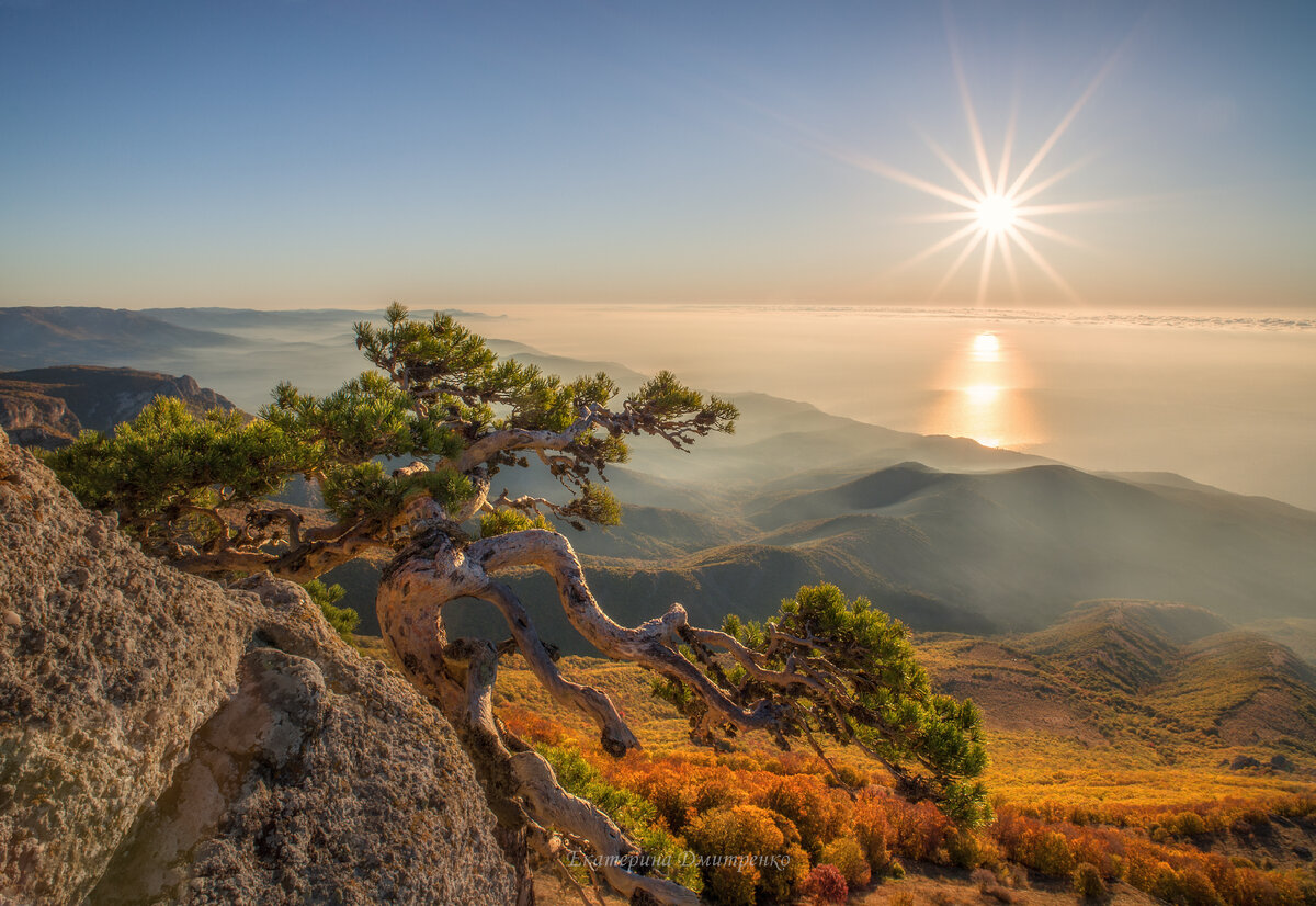 Алушта Демерджи море