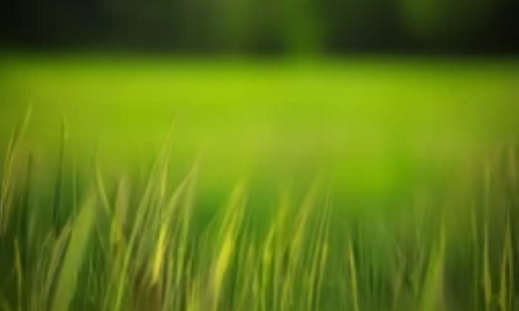    К 2030 году в России будет создано более 1 тыс. климатических полигонов