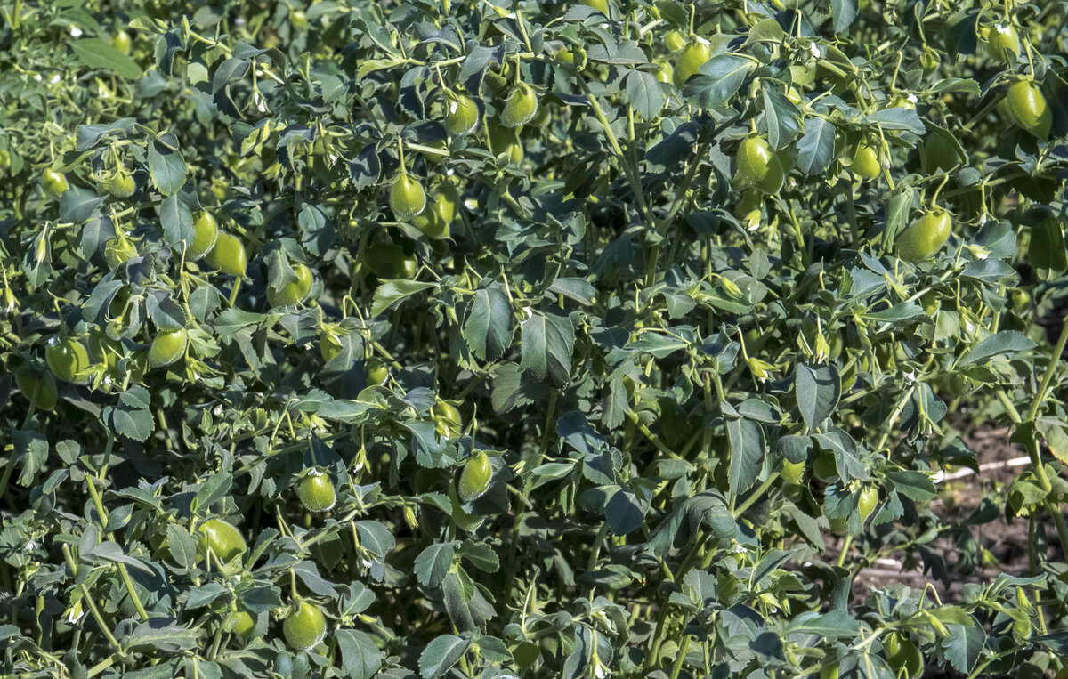 Wolfgang Kaehler/LightRocket via Getty Images