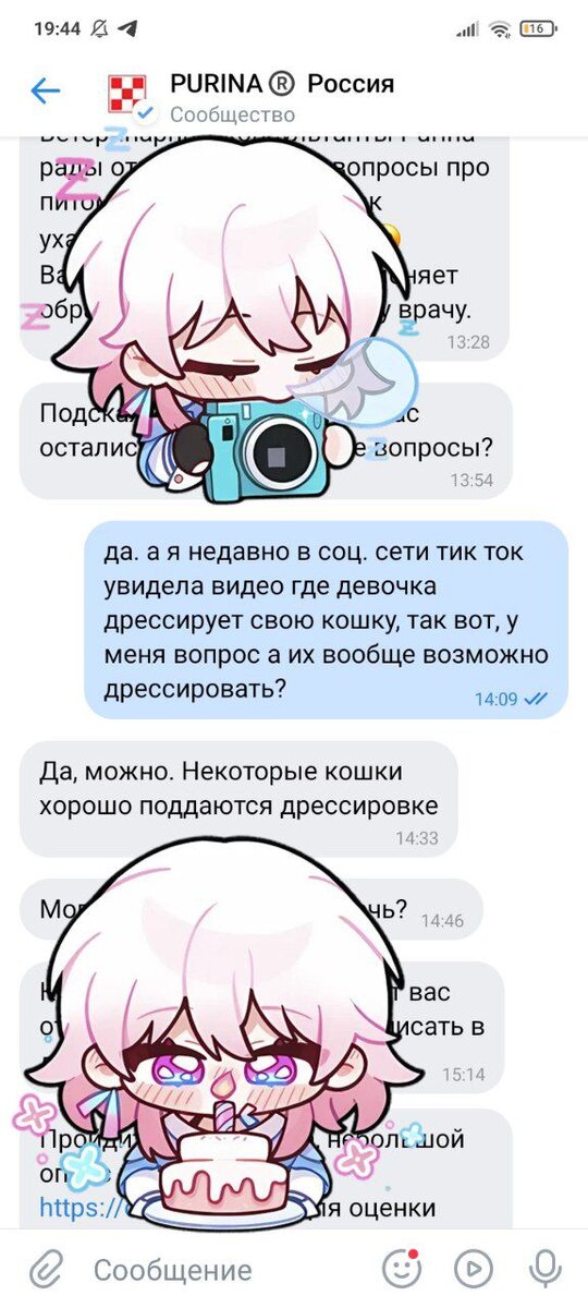 официальный бот пурины в вконтакте