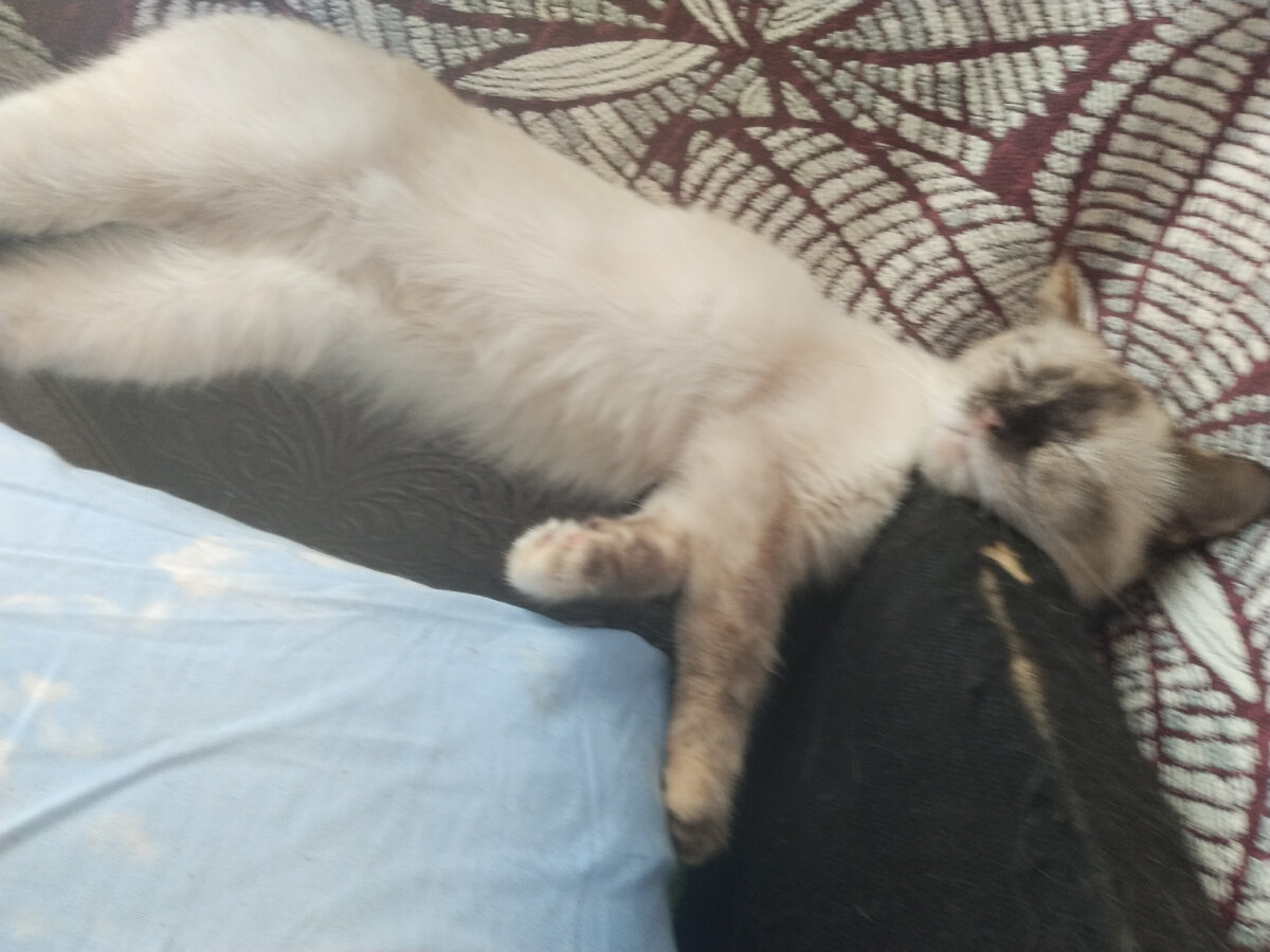 Это ж надо умудриться так лечь.