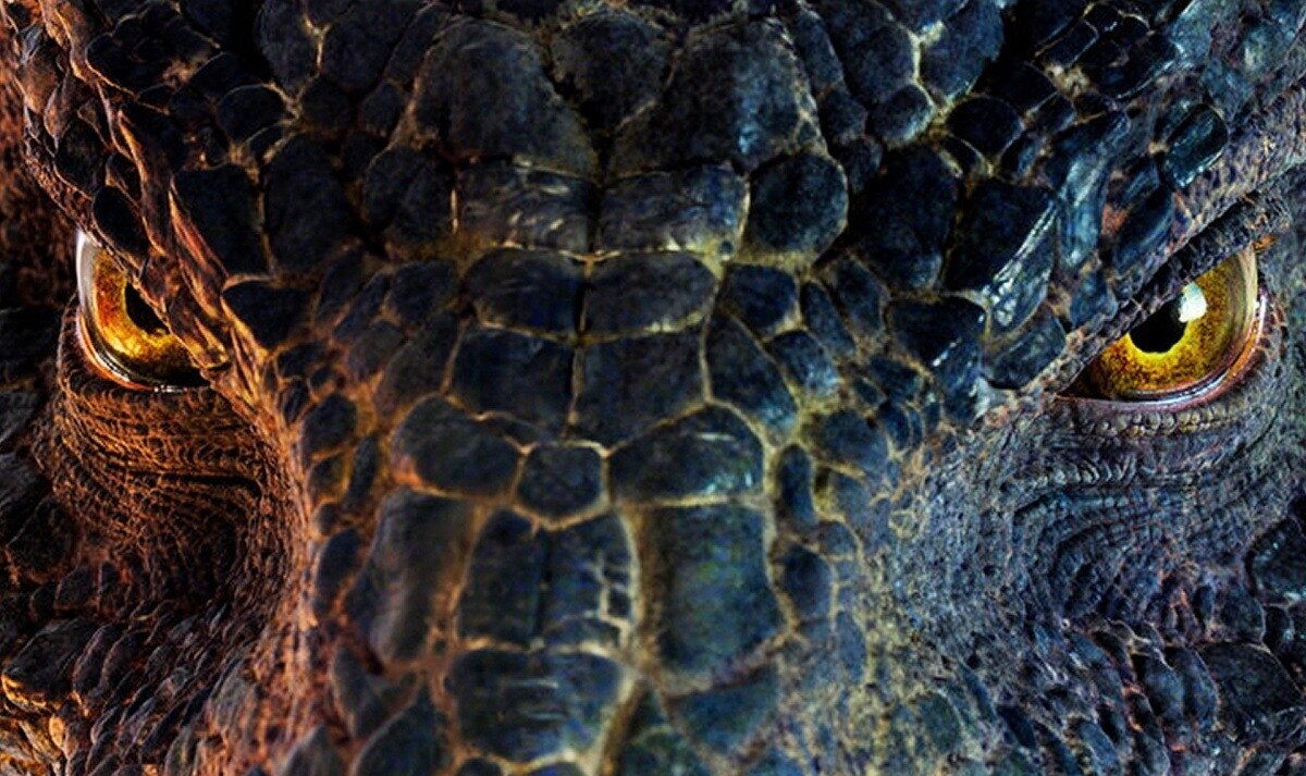 (иллюстрация из интернета)