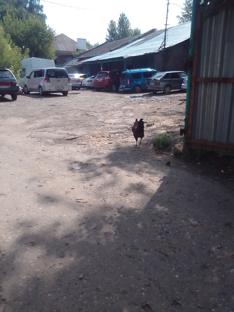 Фоткала для детей)))