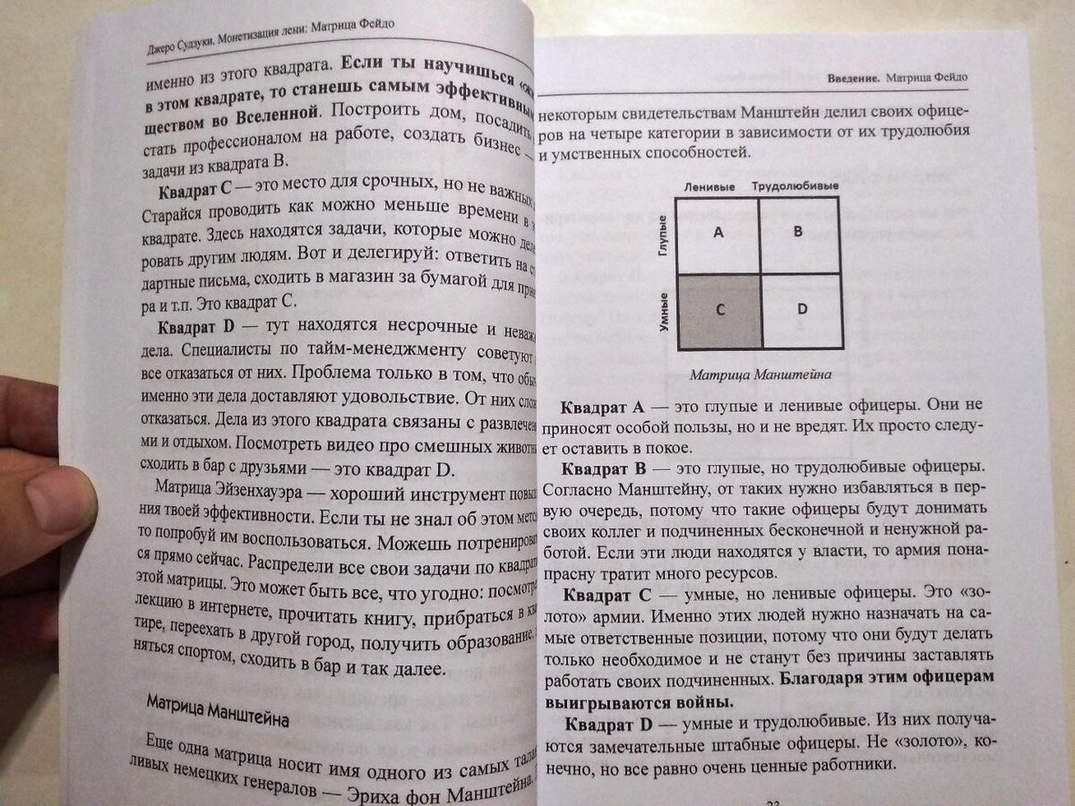 Японский способ борьбы с ленью. Рецензия на книгу Джеро Судзуки “Матрица  Фейдо: монетизация лени”. | Дронток | Дзен