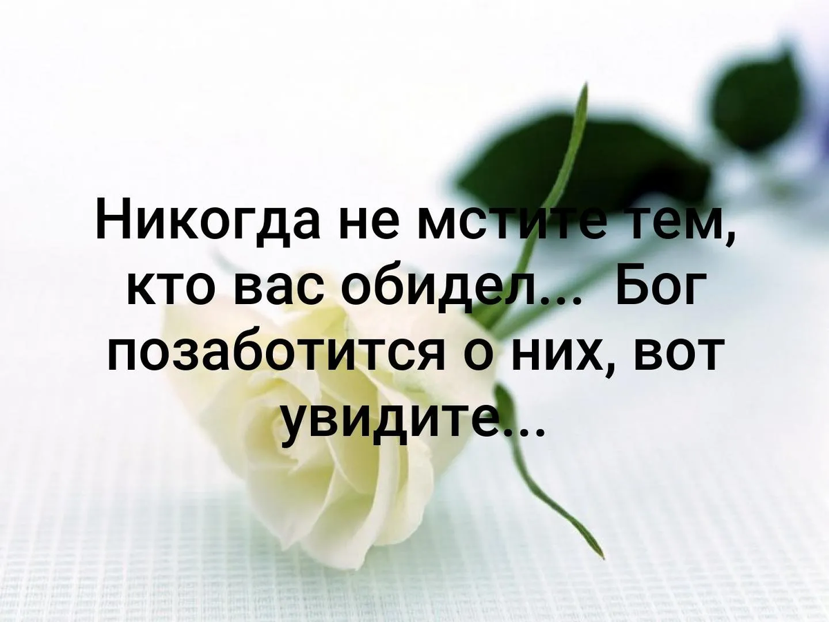 Мудрый человек сказал не мстите гнилые плоды упадут сами собой картинки