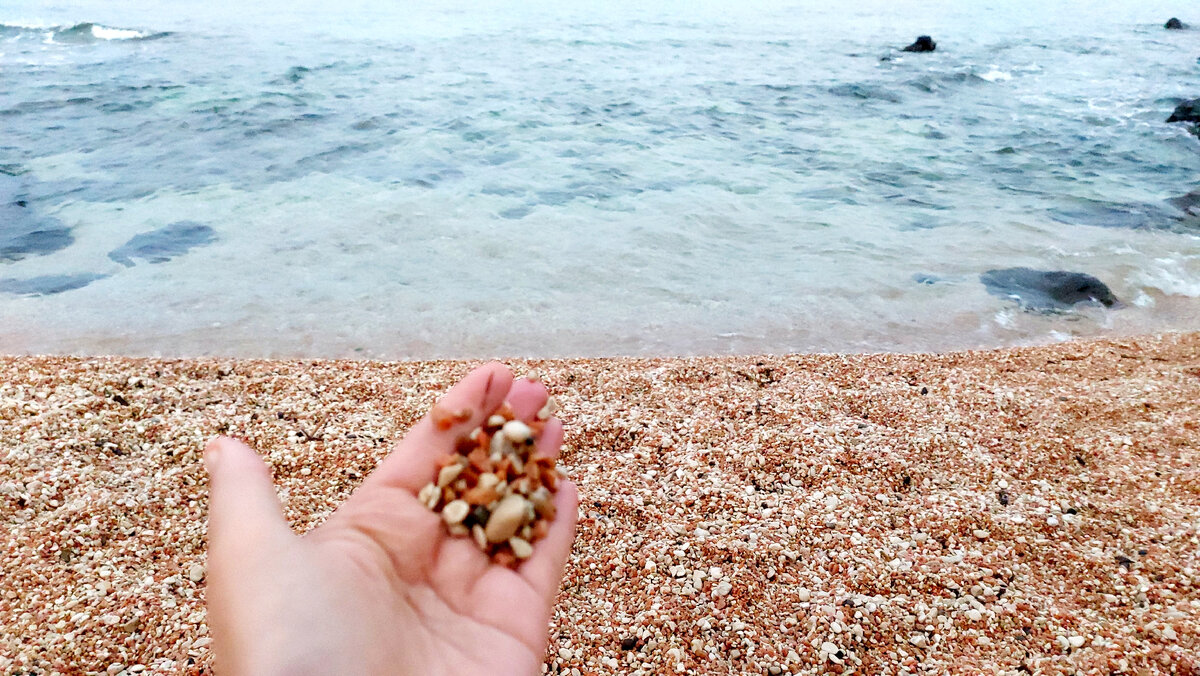 Ещё одна тема для пиара и повод для хулиганства набирают обороты в Италии