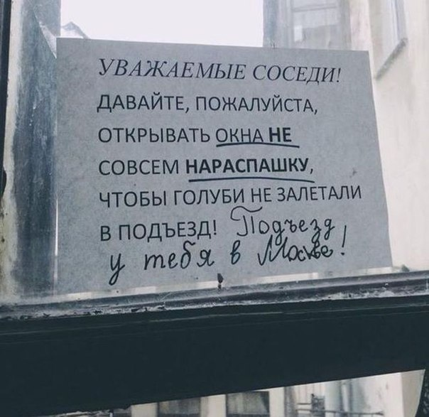 Не подъезд, а парадная)