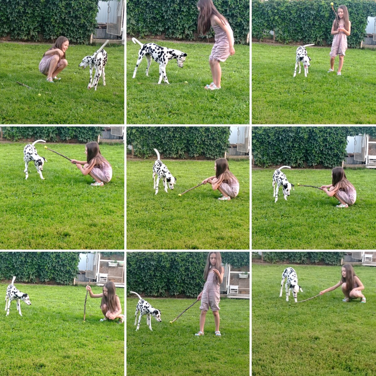 Любит Герда поиграть с Дашей