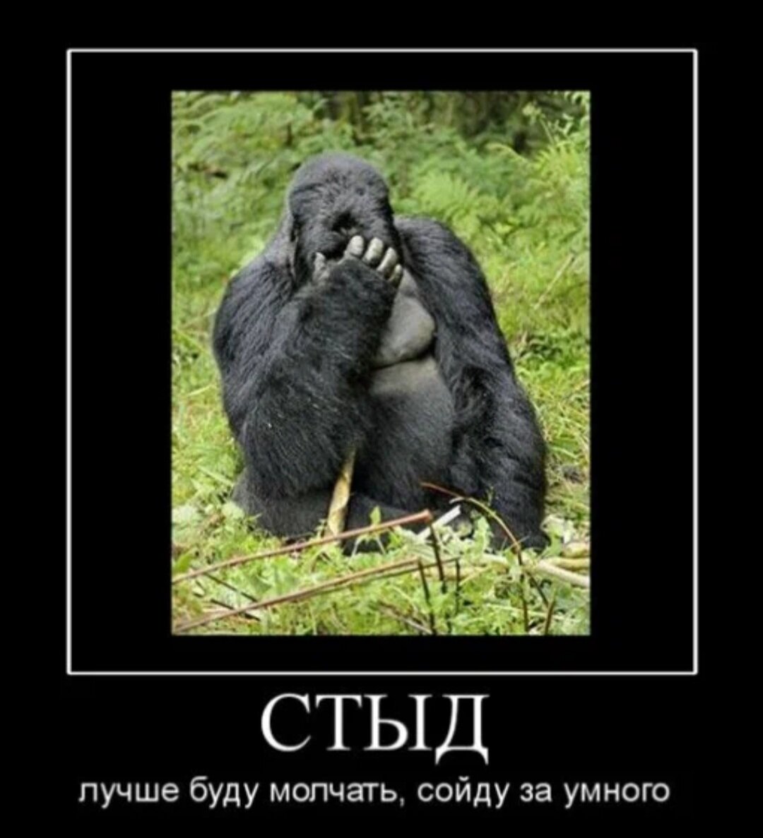 Стыдно обманывать. Картинка стыдно. Шутки про стыдно. Стыдно прикол. Стыдно картинки прикольные.