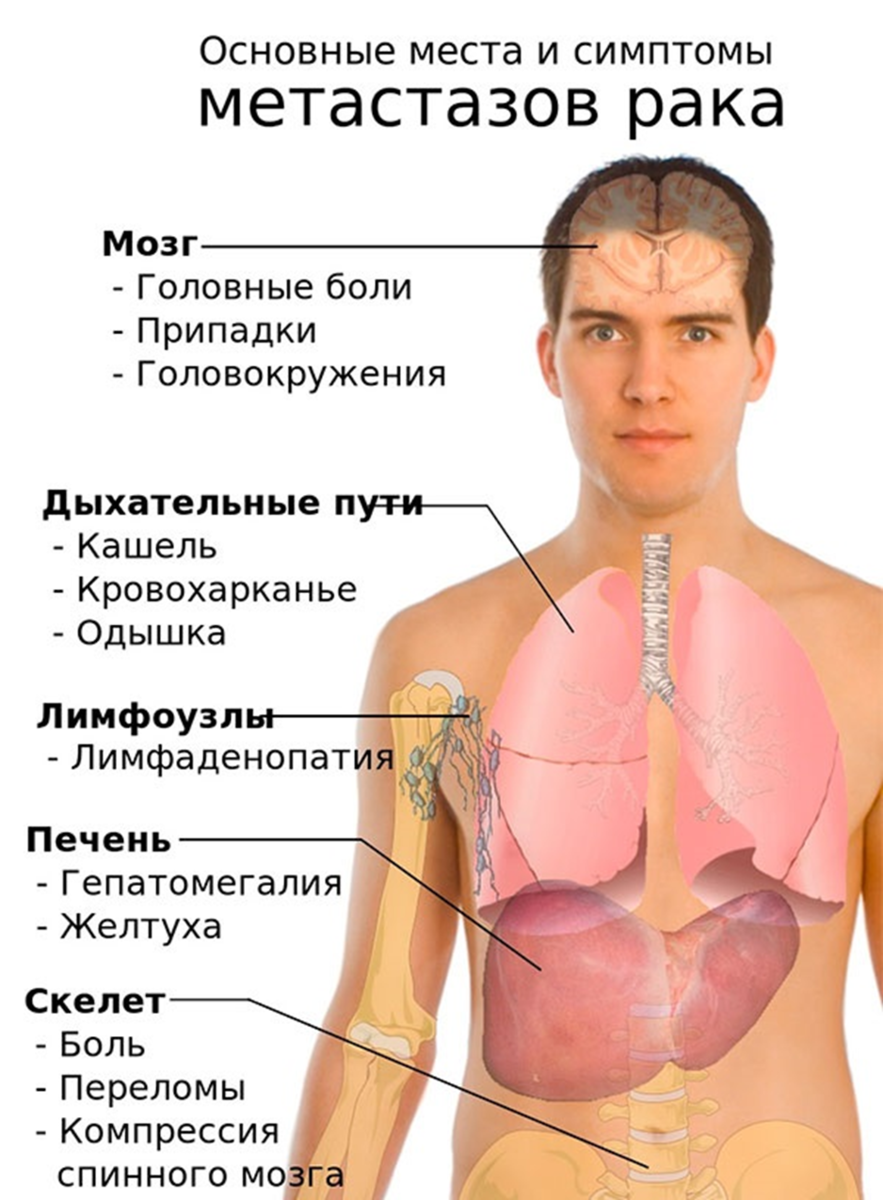 Как понять что легкие больны