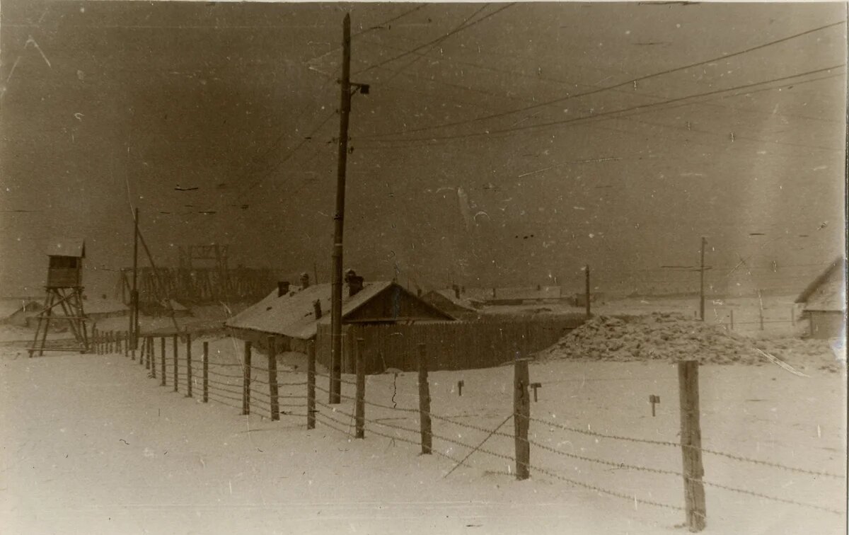                                                             Зима в лагере