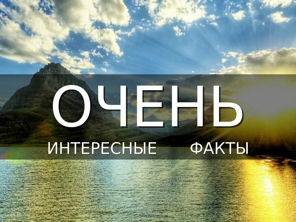 Невероятные факты про