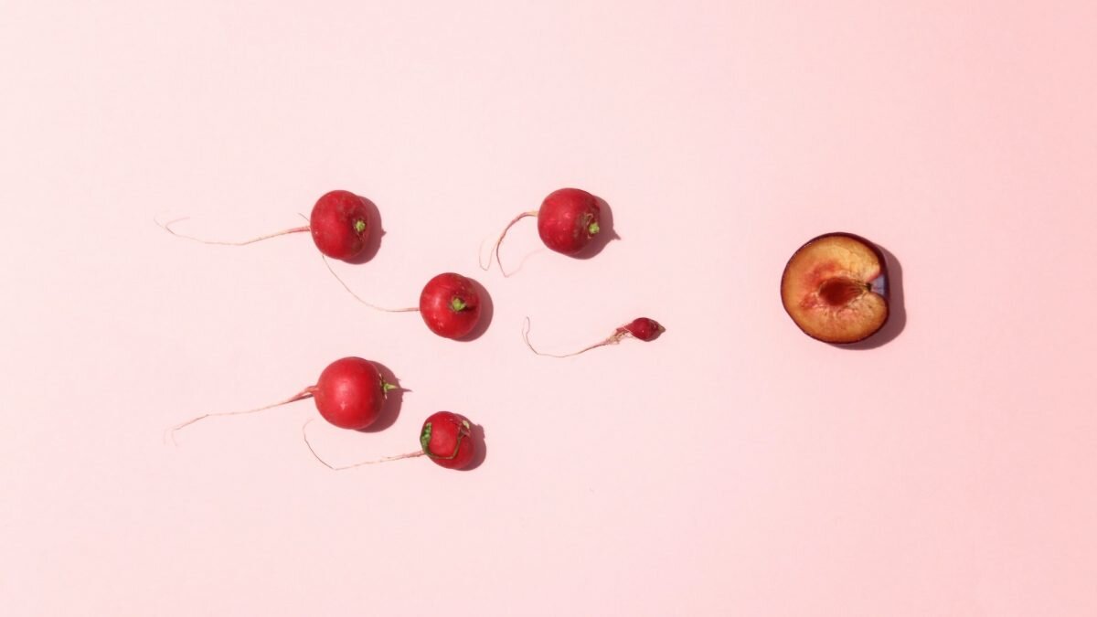    Фото: Unsplash Август Макаров