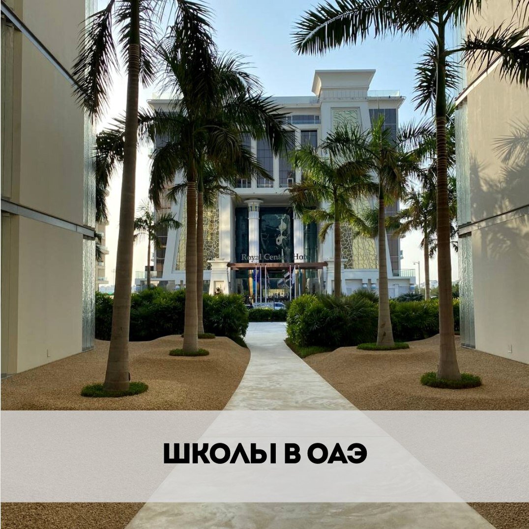 Образование в ОАЭ