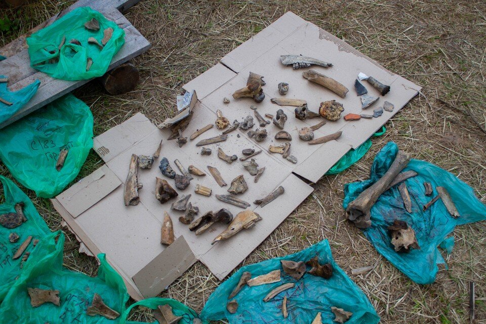    Фото: ПГГПУ