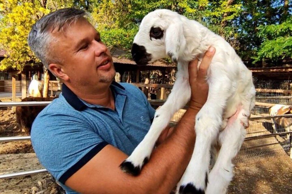    Малыша планируют назвать Шоном. Фото: Бахчисарайский парк миниатюр