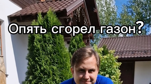 Умный дом INSYTE | Опять сгорел газон? Система управления поливом ...