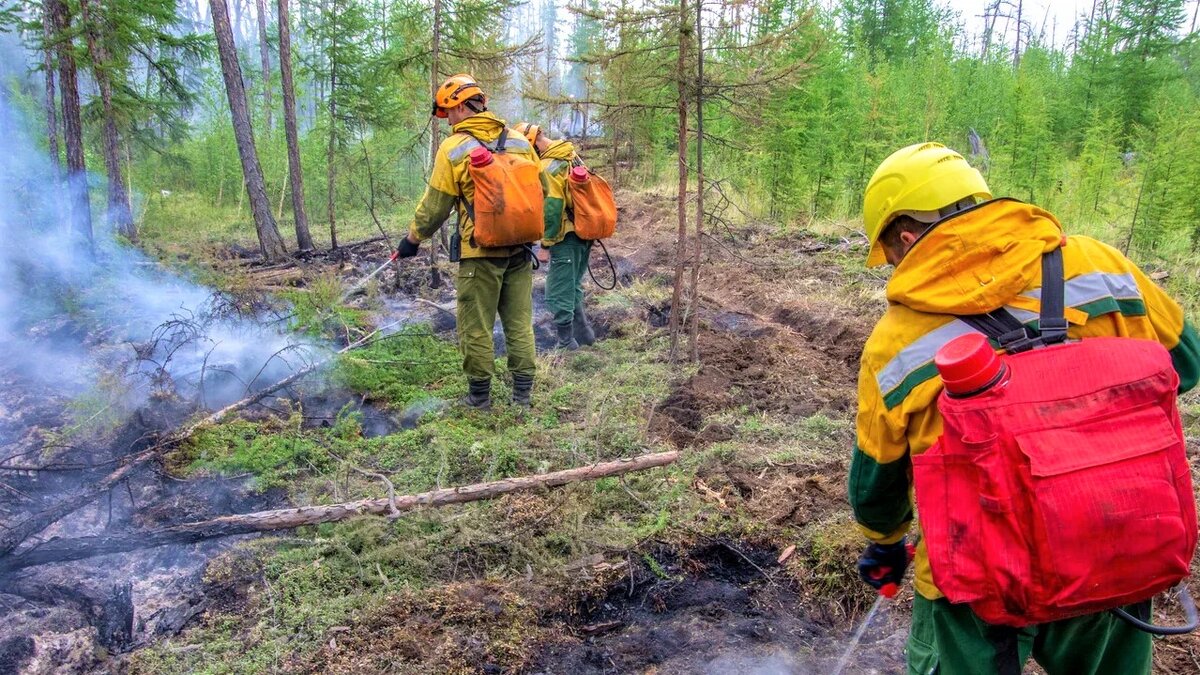    В Белоярском районе увеличивают группировку лесопожарных