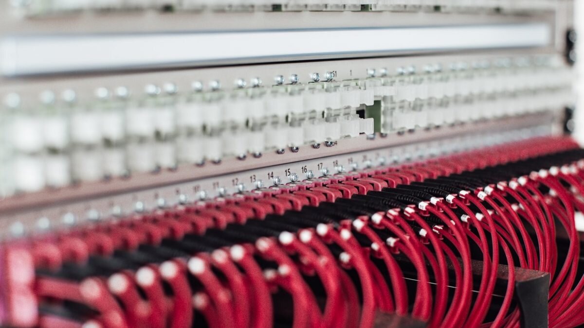    Фото: unsplash.com. Анатолий Пак