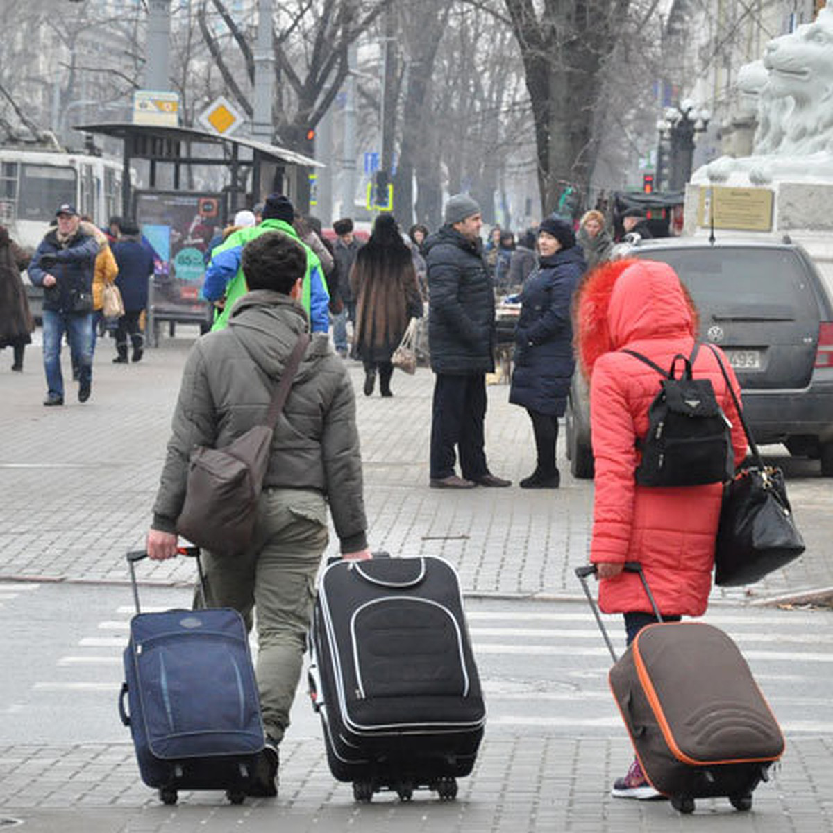 ссылка на источник фото:https://s14.stc.yc.kpcdn.net/share/i/12/11476962/de-1200.jpg