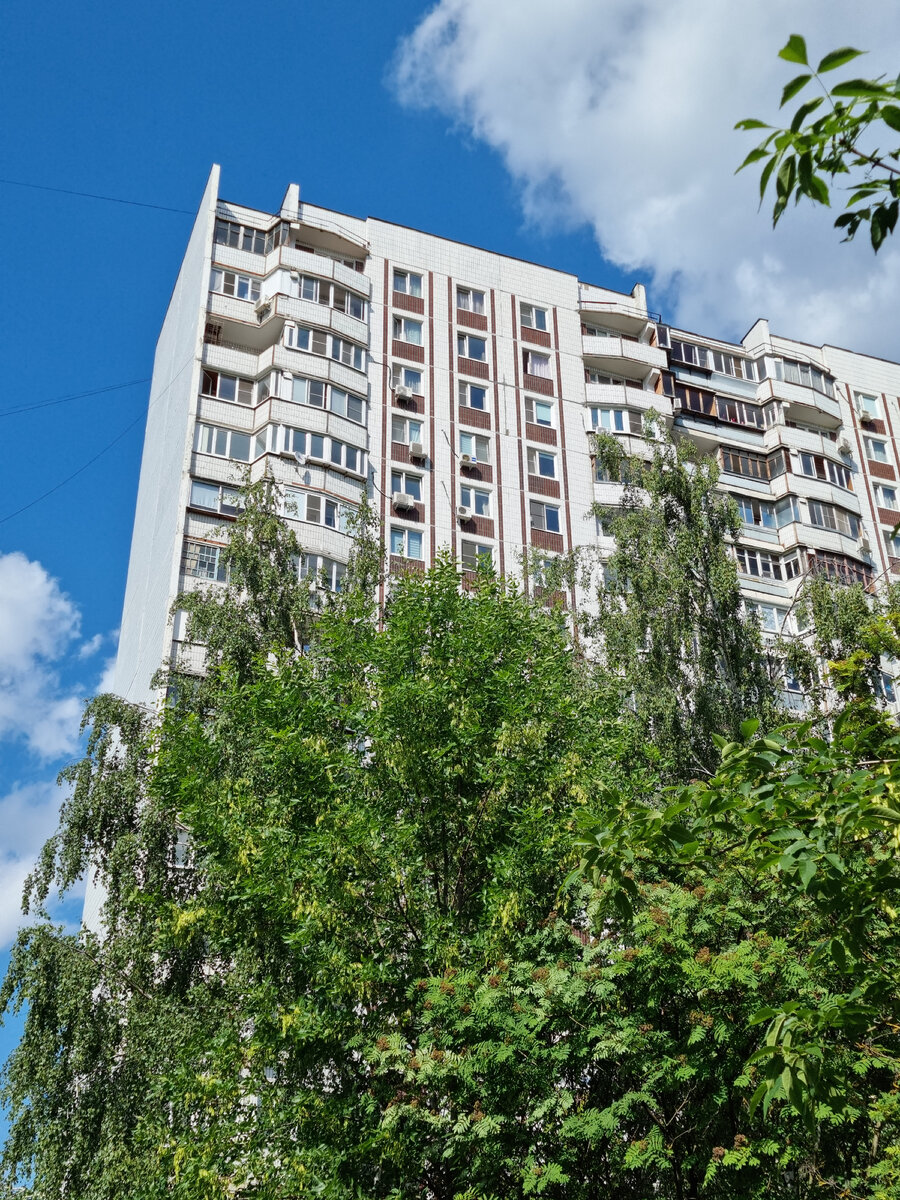 22.06.2023. В моем районе. Летом даже Москва ощущается курортом